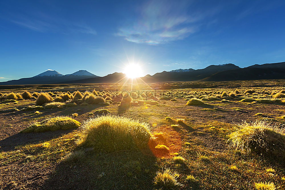 Similar – Image, Stock Photo autumn colours