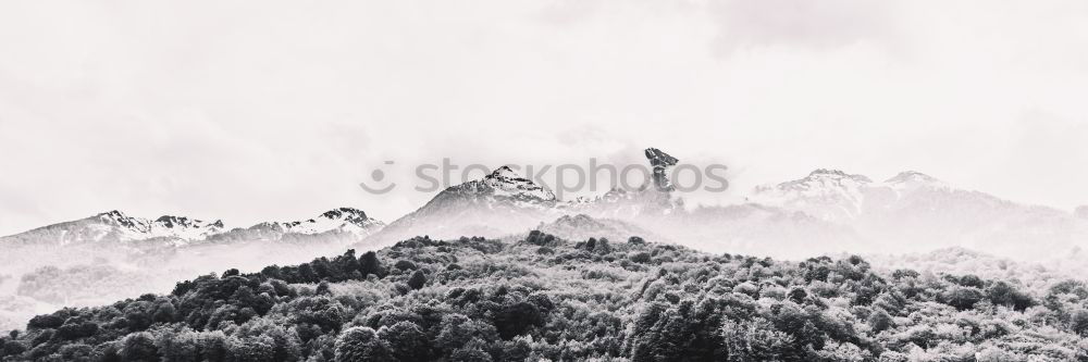 Image, Stock Photo Beautiful autumn foggy morning panorama. Tatra mountains