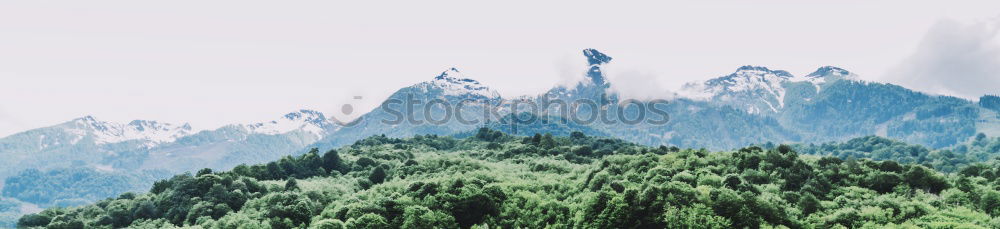 Fensterblick Wolken Wald