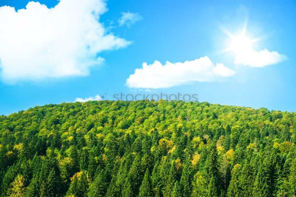 Similar – Image, Stock Photo Beautiful Carpathian Mountains Summer Landscape In Romania