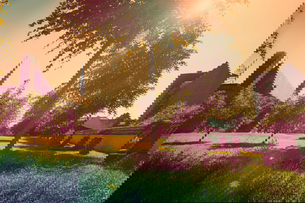 Image, Stock Photo Park with sunshine Summer
