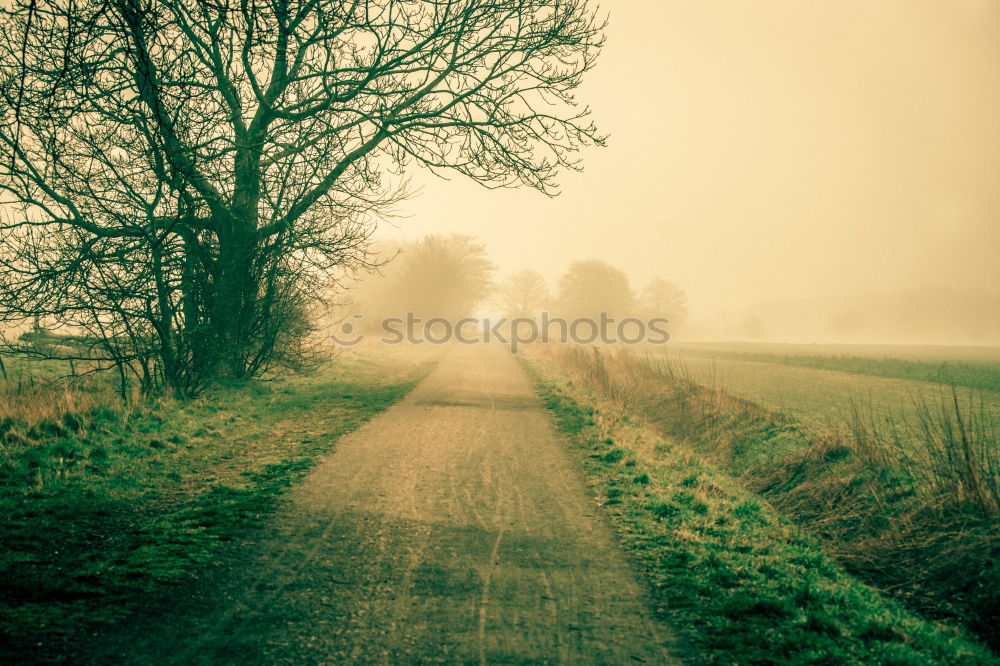 Similar – Ipweger Moor Landscape