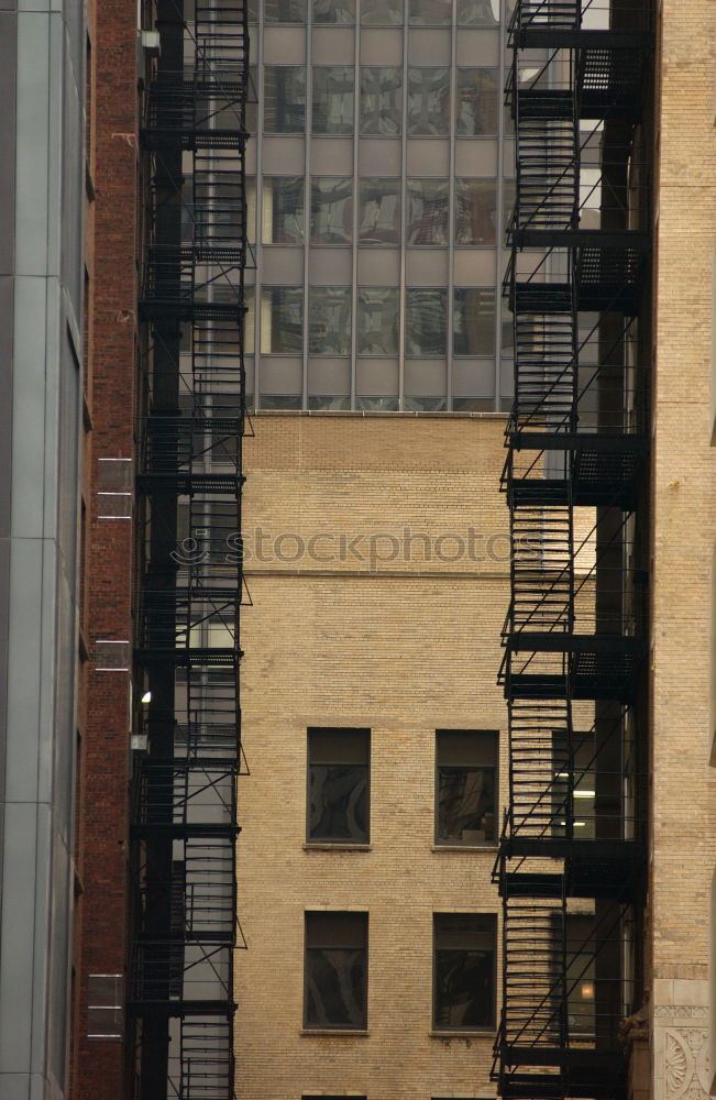 Similar – Image, Stock Photo back straight, front crooked