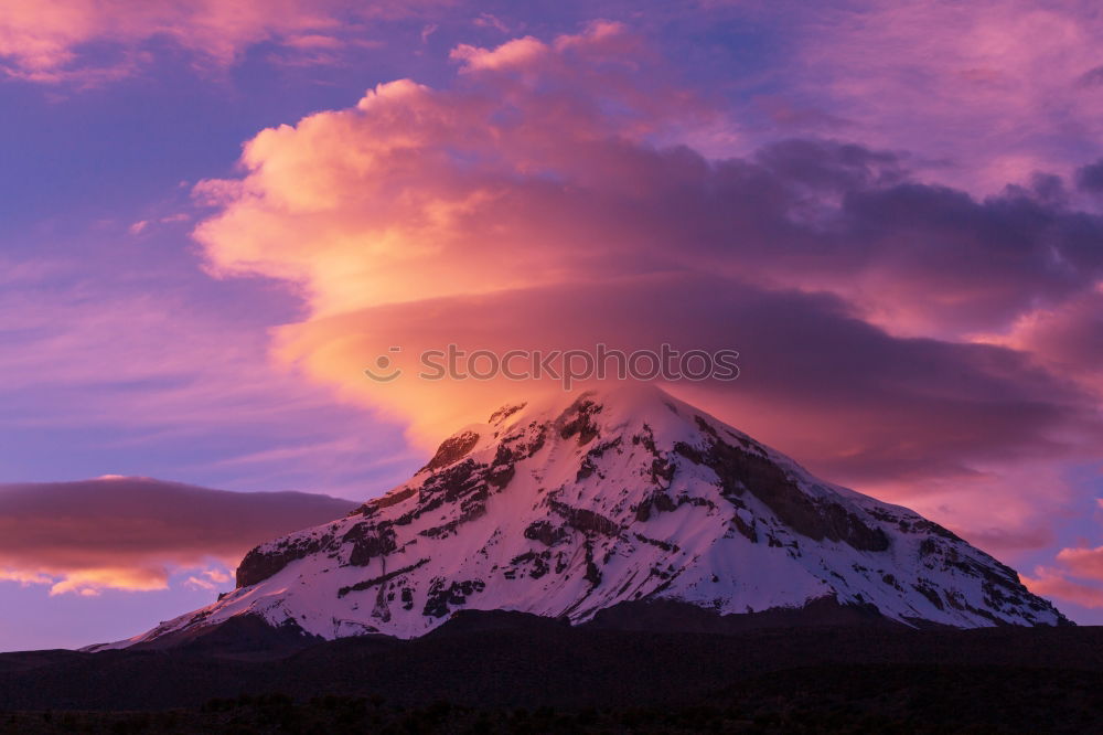 Similar – Image, Stock Photo morning glory Environment