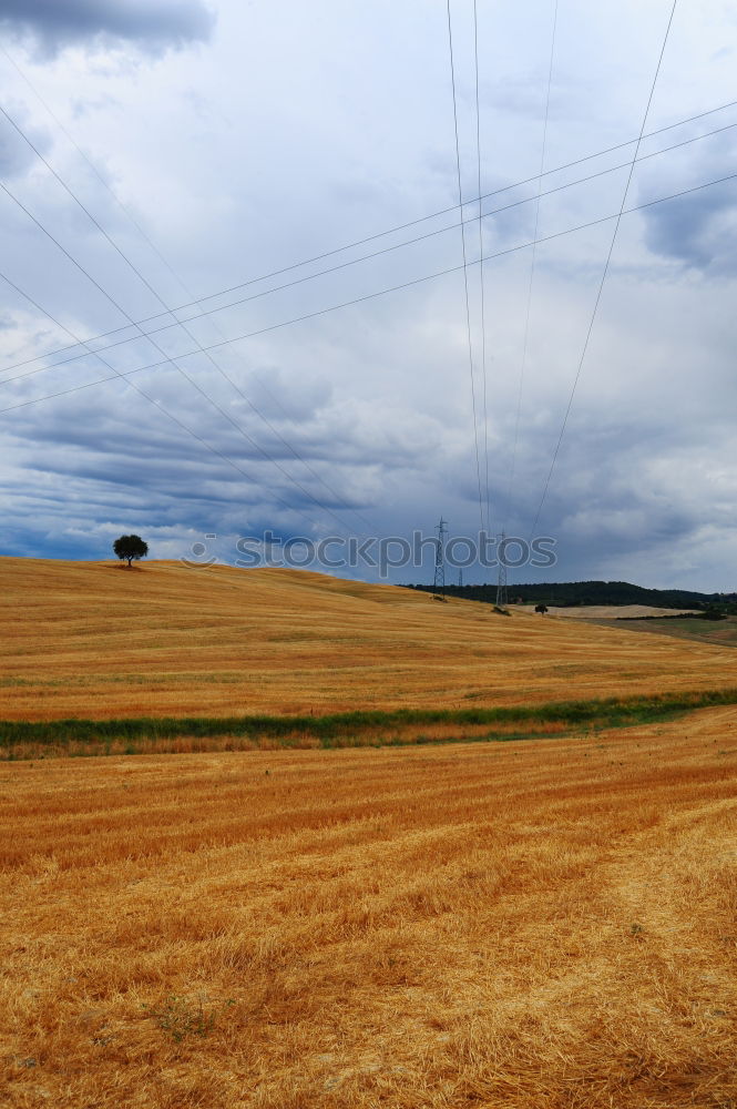 Similar – Image, Stock Photo Narrow path in a ripe cornfield leads to the church