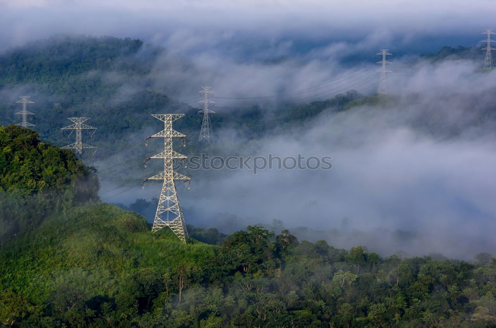 Similar – Image, Stock Photo Black Forest Tourism Trip