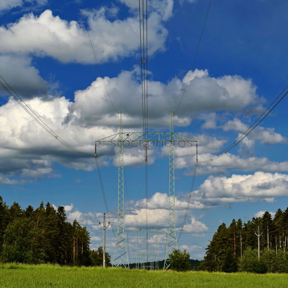 Similar – Image, Stock Photo Cuban Prairie