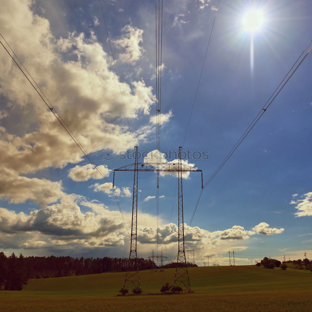 Similar – Image, Stock Photo Cuban Prairie