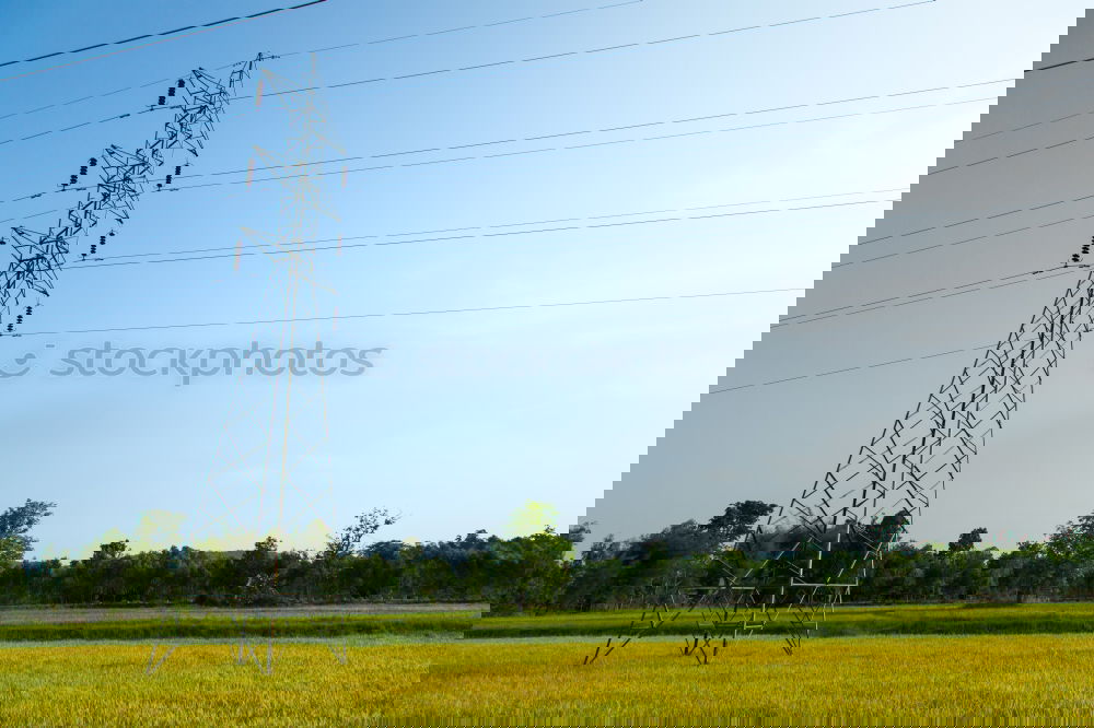 Similar – Foto Bild Raps unter Strom Rapsfeld