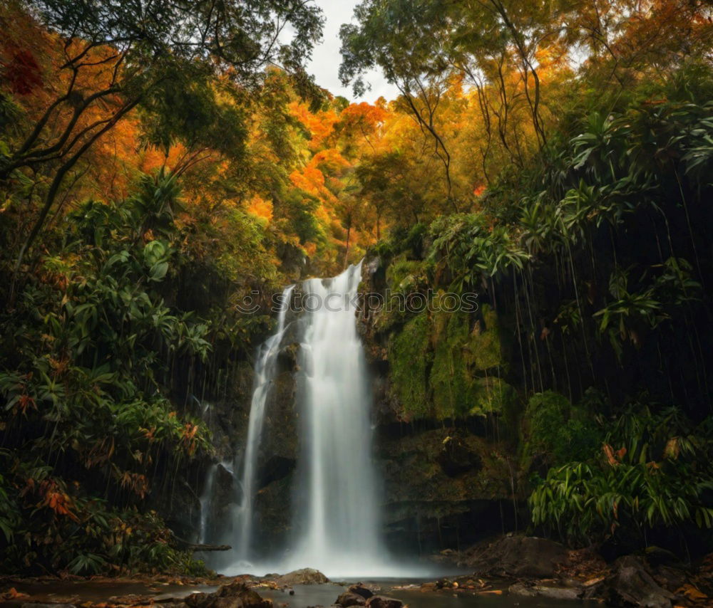 Similar – Foto Bild water falls Natur Pflanze