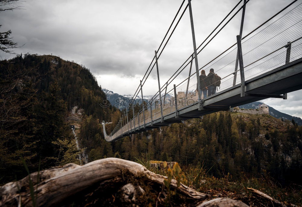 Image, Stock Photo Geierlay suspension bridge in autumn