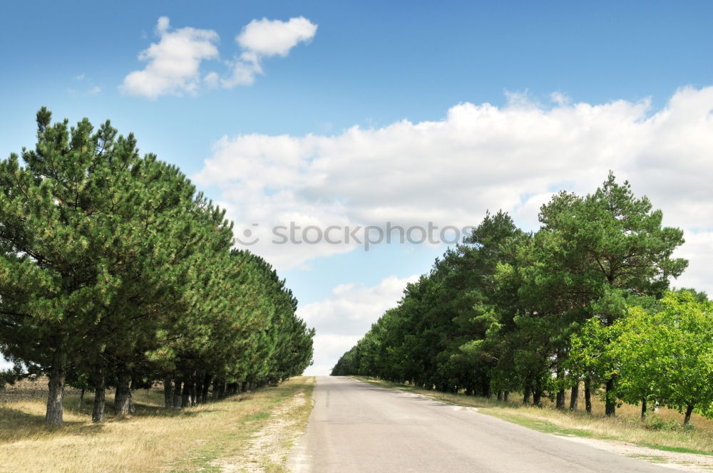 Similar – Image, Stock Photo Slag heap of the mining industry in the Mansfeld mining district at the end of a tree-lined country road