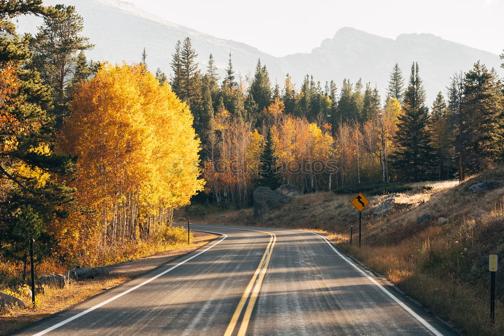 Similar – Car driving through forest