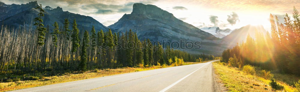 Similar – Image, Stock Photo trunk road Cloudless sky