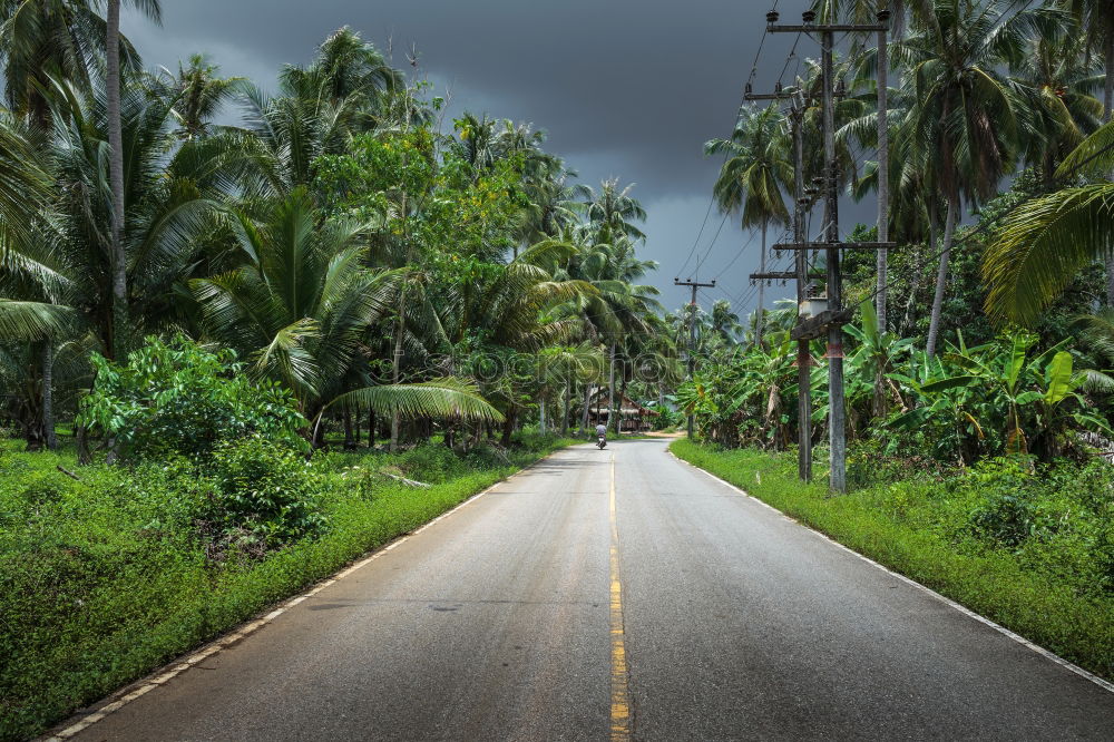 Similar – Truck driving through forest