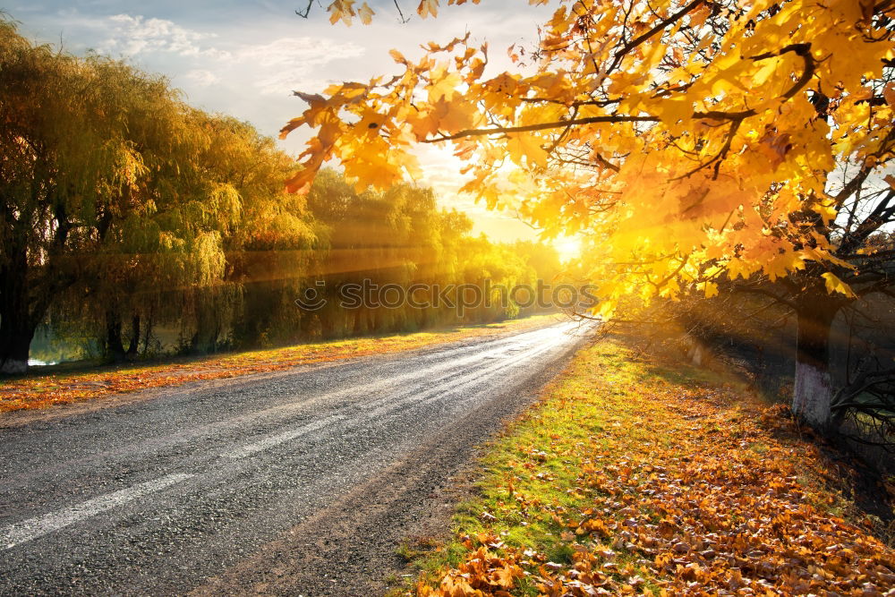 Similar – Cross with autumnal leaves in the background