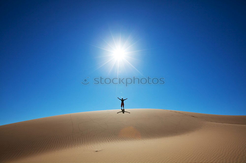 Similar – Kite flying on the beach