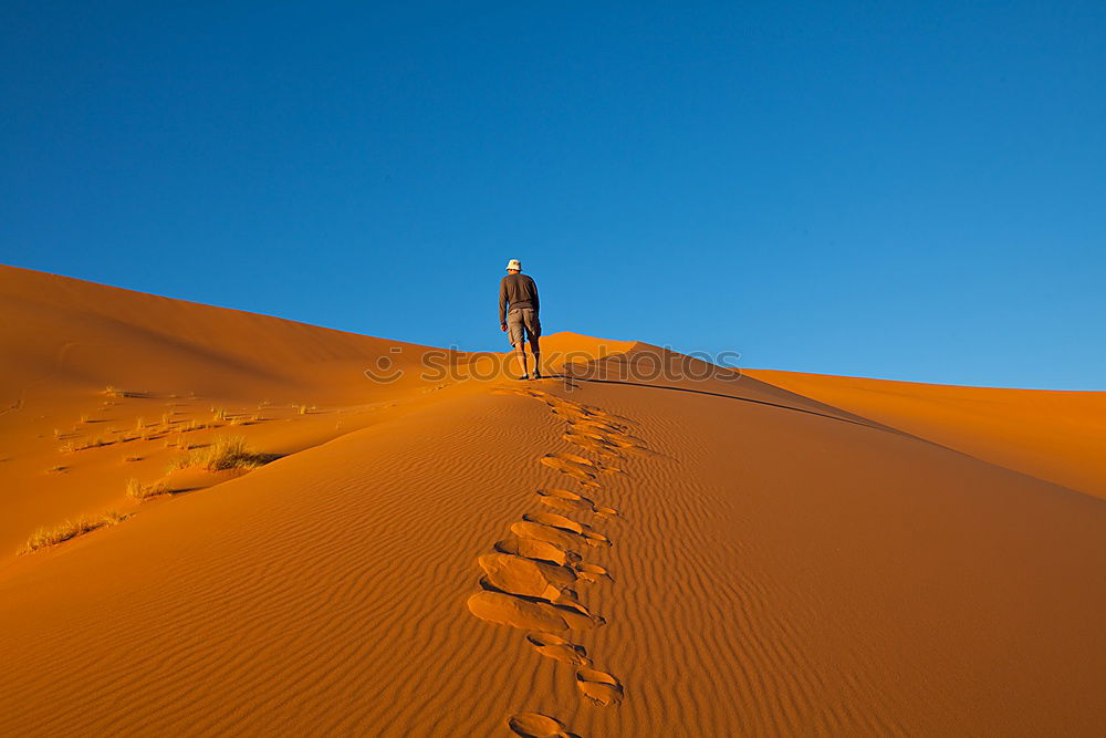 Similar – Image, Stock Photo dune hike Group Sand