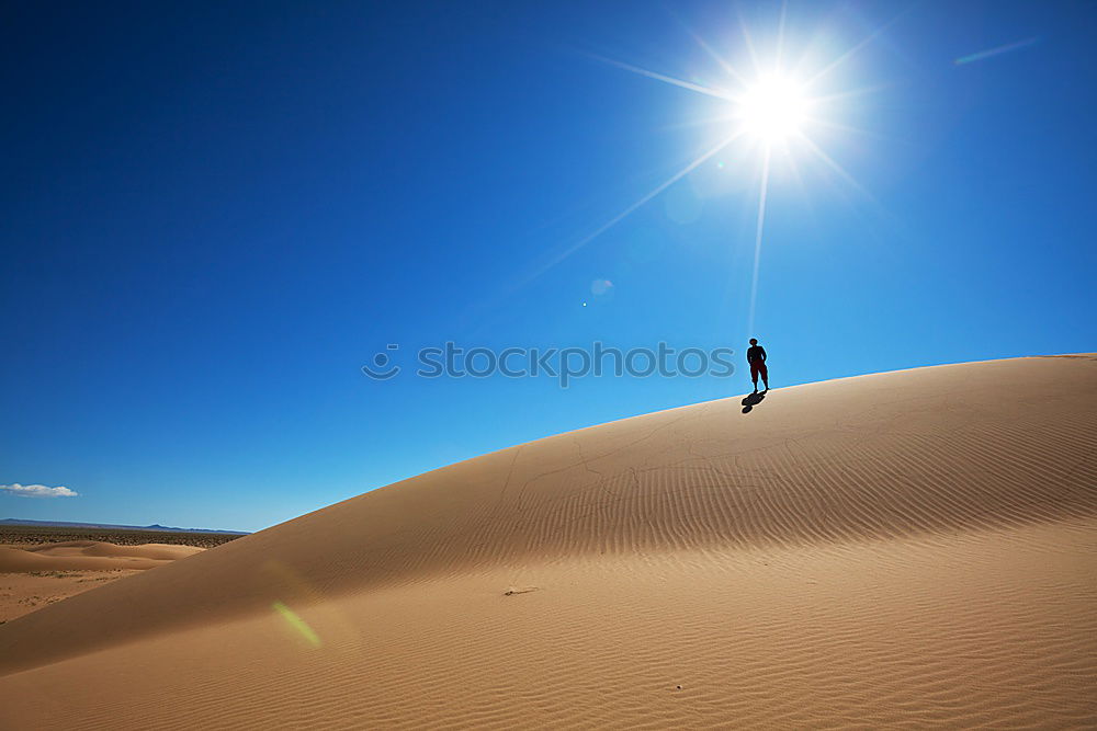 Similar – sunbath Namibia Diamond