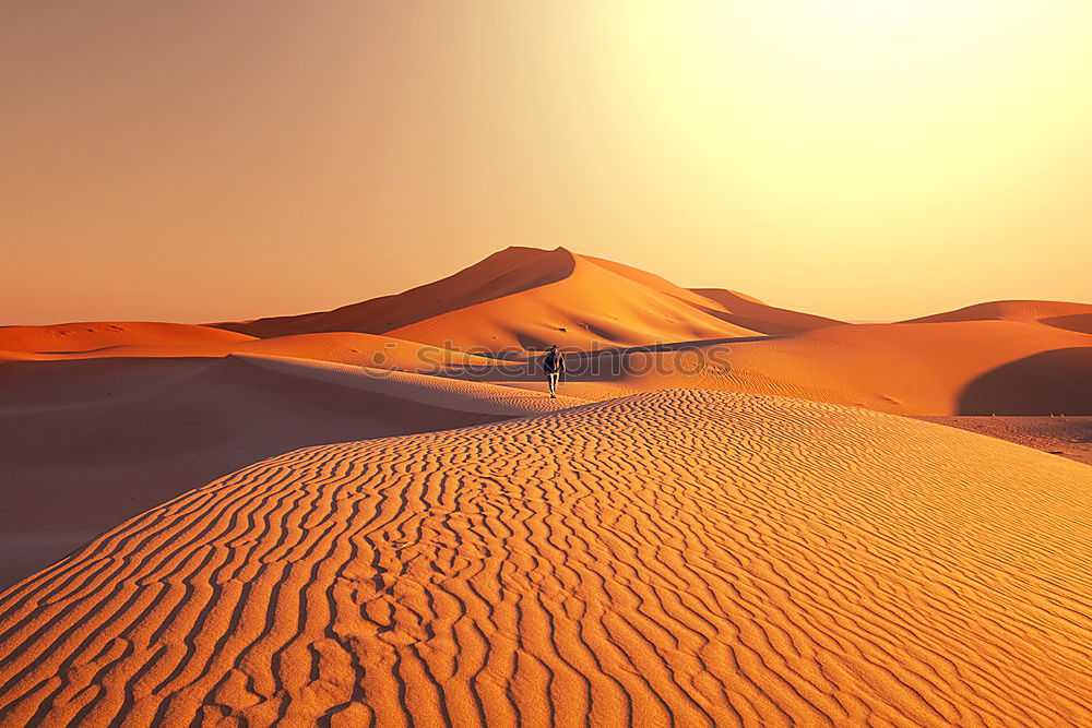 Similar – Image, Stock Photo quarter of desert a free