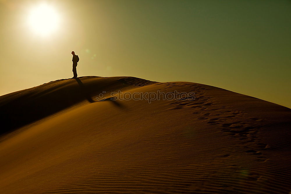 Similar – Image, Stock Photo Fast Shadow [Right] Ready