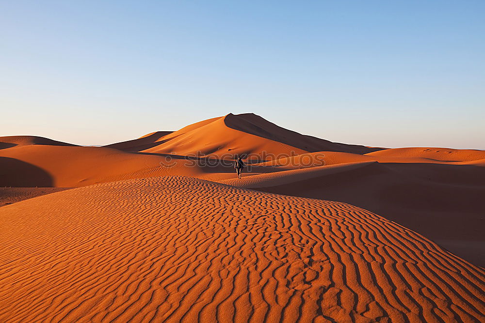 Similar – Dunes on desert sand Sand