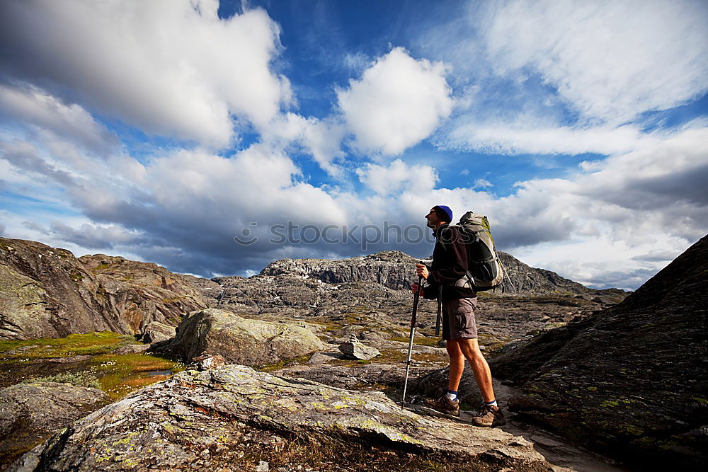 Similar – Image, Stock Photo wild autumn