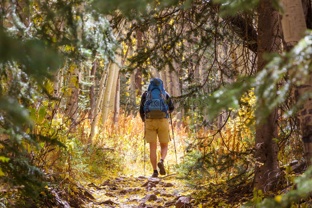 Similar – Young Backpacker enjoying of Nature.