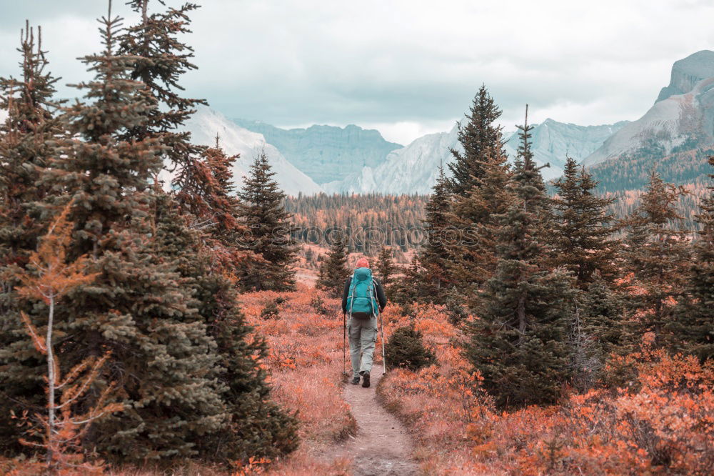 Similar – Young woman crossing the Alps