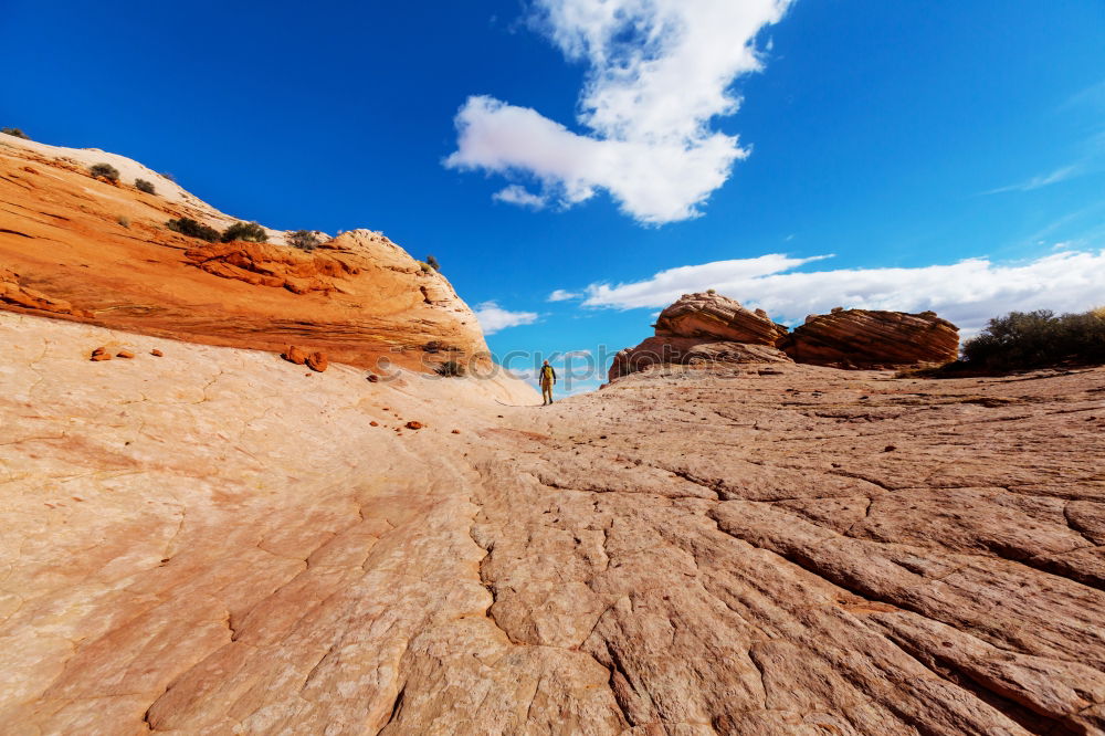 Similar – Hiker in the desert.