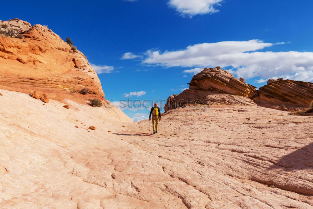 Similar – Hiker in the desert.