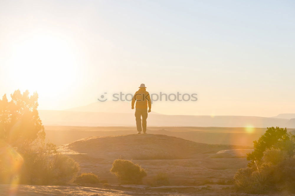 Similar – Mom keeps daughter’s hand and walks on the nature in sunset light