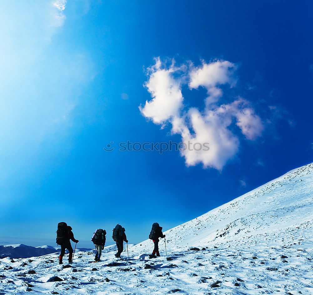 Similar – Image, Stock Photo Group of backcountry skiers walk up to the top of a mountain