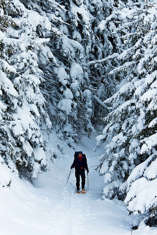 Similar – Image, Stock Photo Tourist with backpack in snowy forest