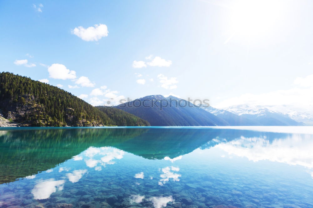 Similar – Image, Stock Photo Woman on a bridge enjoying the view