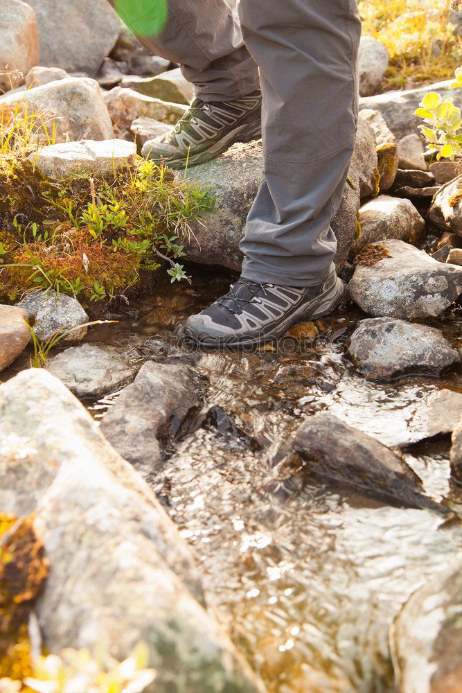 Similar – Image, Stock Photo Women’s leather casual shoes on wood in the forest