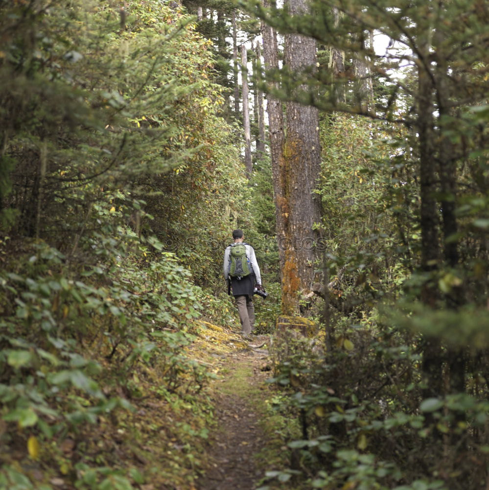 Similar – Image, Stock Photo Man riding a bicycle through the Spreewald forest