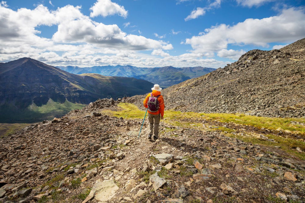 Similar – Hikers with rucksack in the mountains