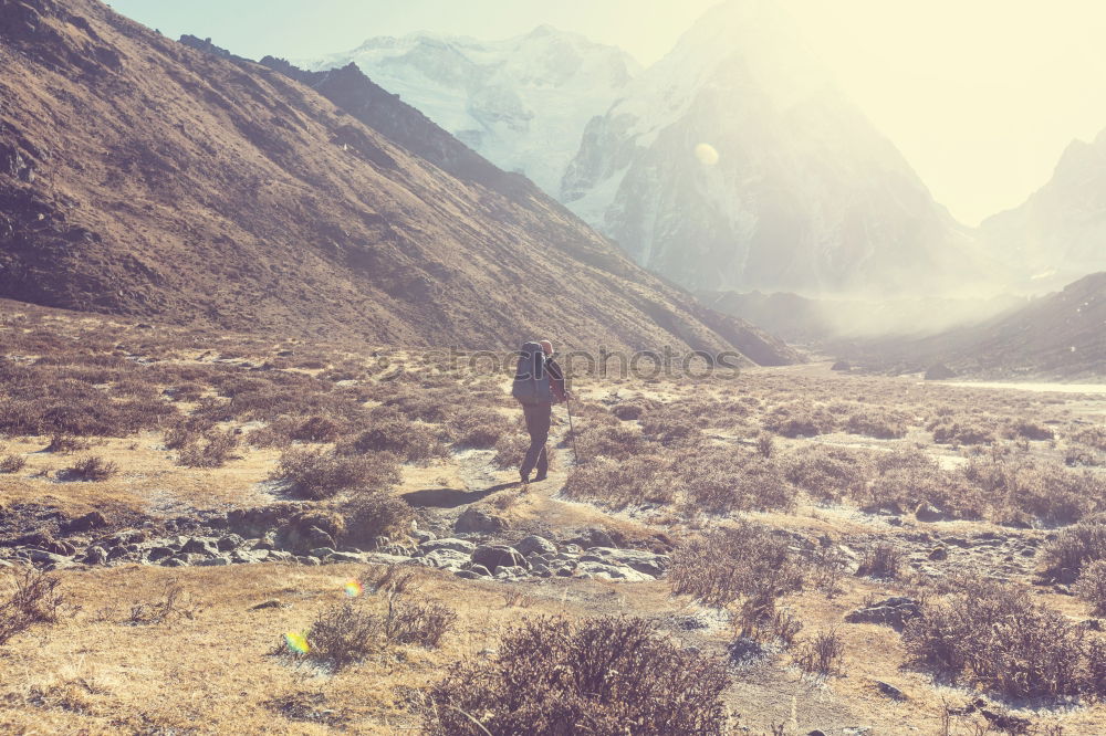 Similar – Image, Stock Photo Hikers on Alpine crossing | Timmelsjoch | E5