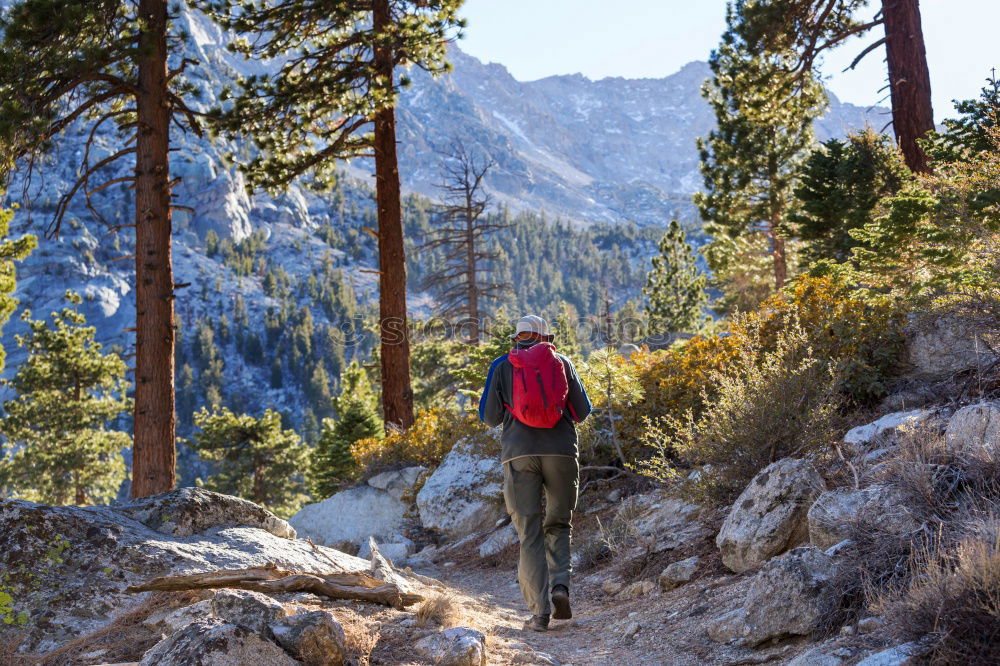 Similar – Woman walks and looks into the mountains