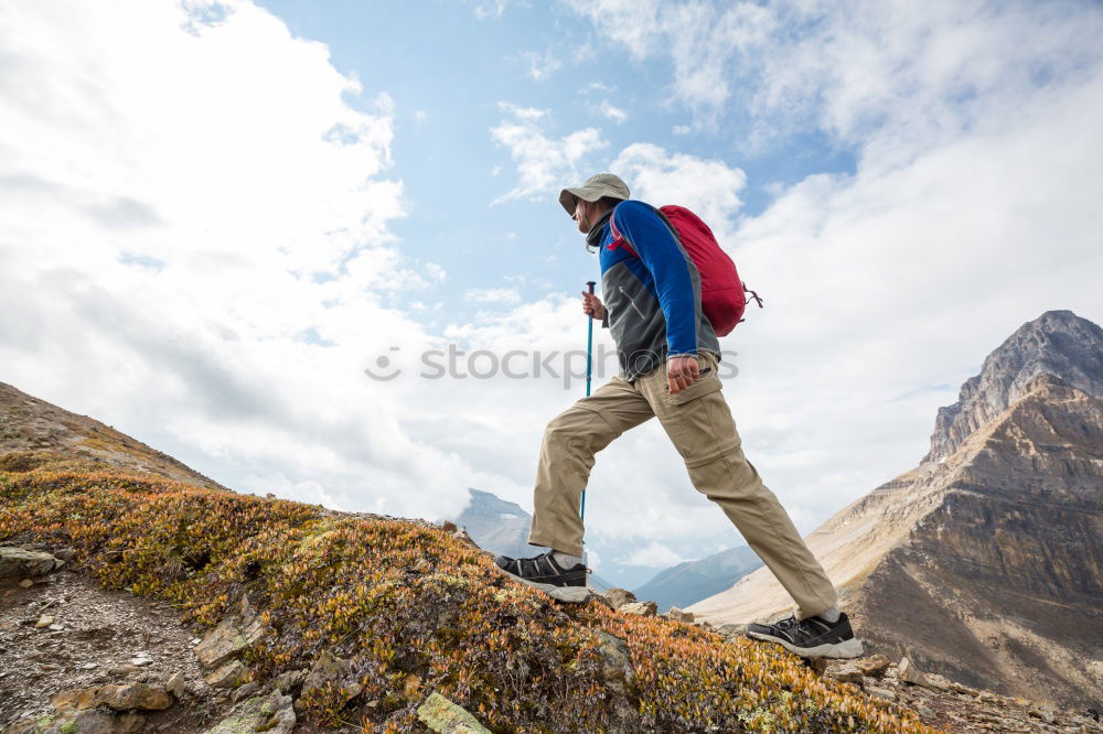 Similar – Woman walking in the mountains with sticks in her hands