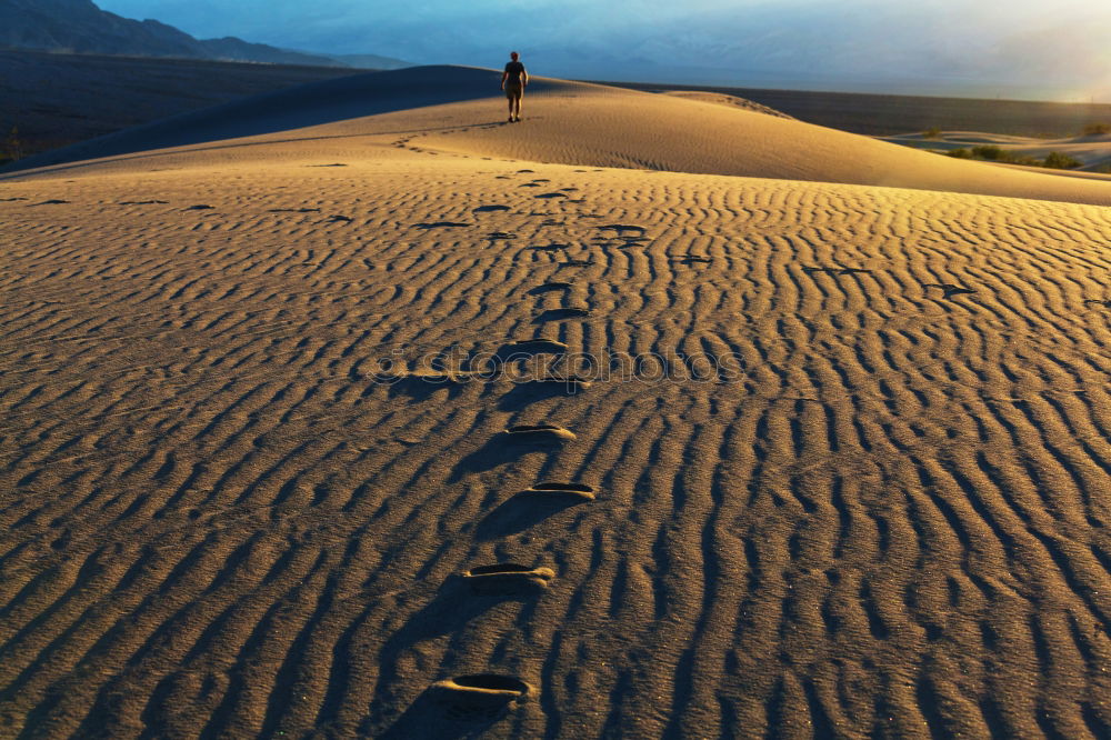 Similar – Image, Stock Photo Great Sand Dunes National Park, Colorado