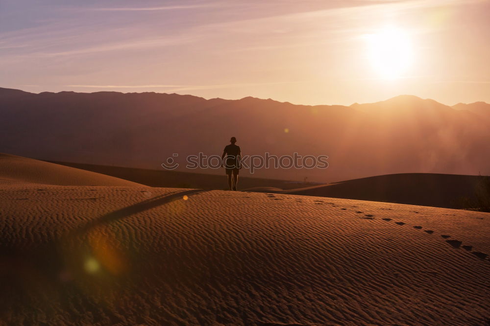 Similar – Image, Stock Photo contemplation Looking