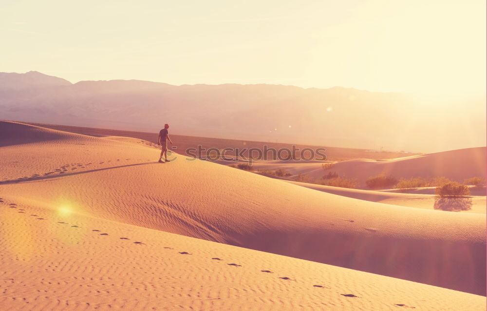 Similar – Image, Stock Photo Man on the horizon