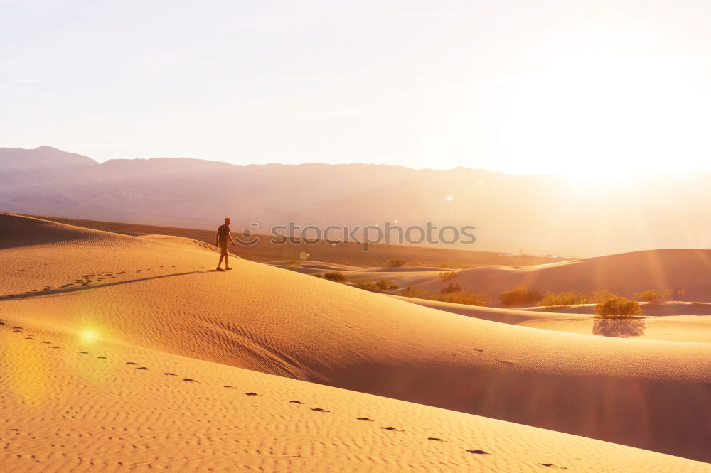 Similar – Image, Stock Photo desert landscape