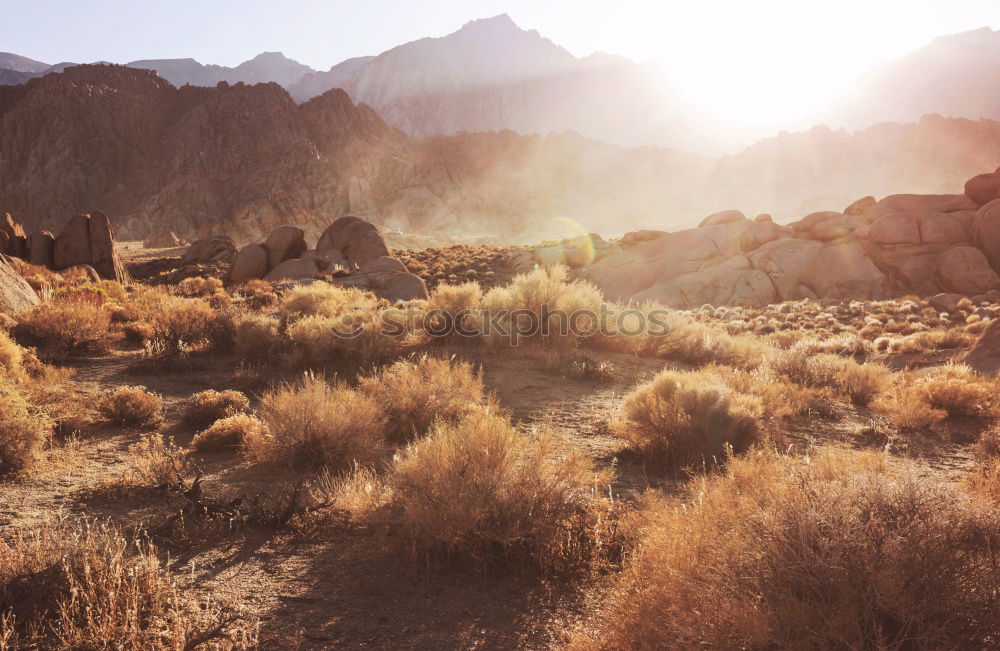 Similar – Image, Stock Photo the good the bad and the ugly