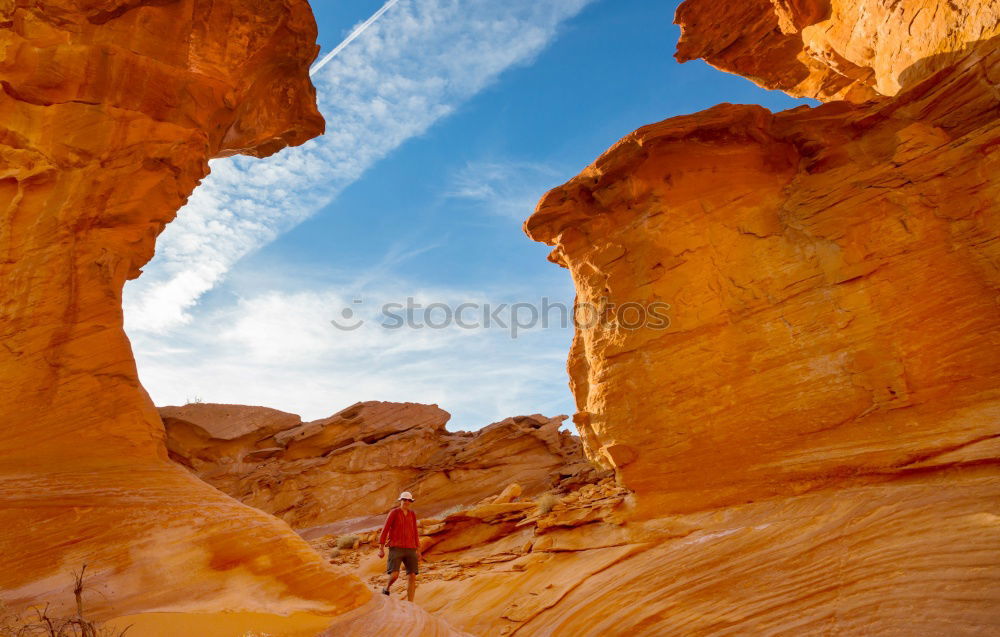 Similar – Hiker in the desert.