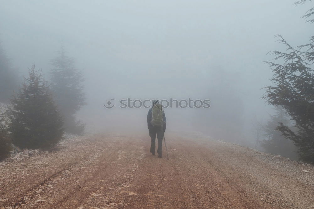 Similar – Image, Stock Photo Girl walking on a mountain road with a lot of fog