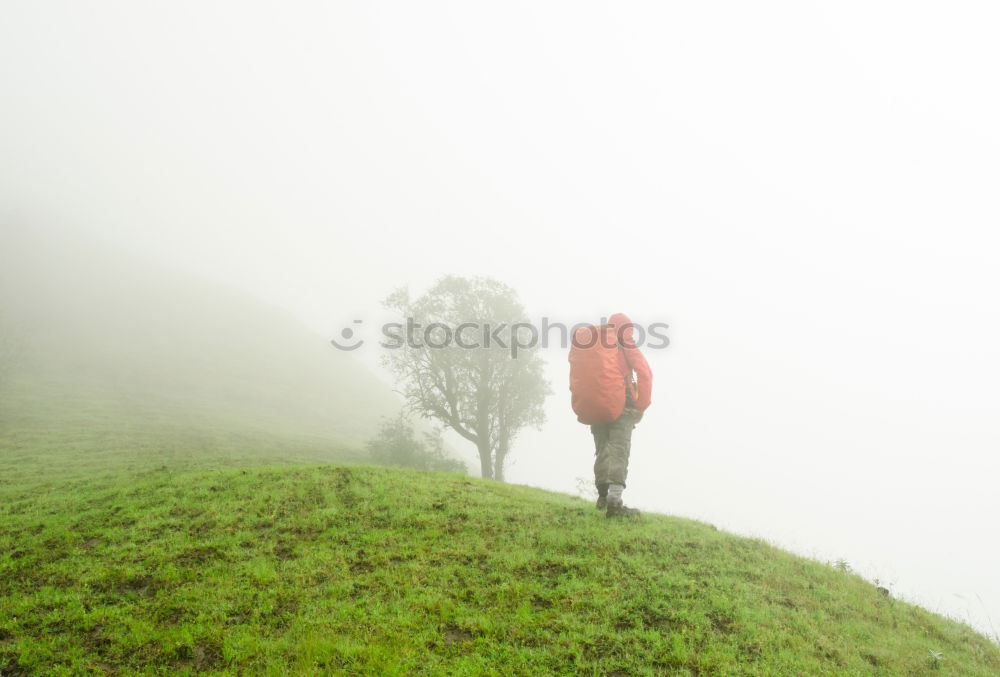 Similar – Man standing on foggy road