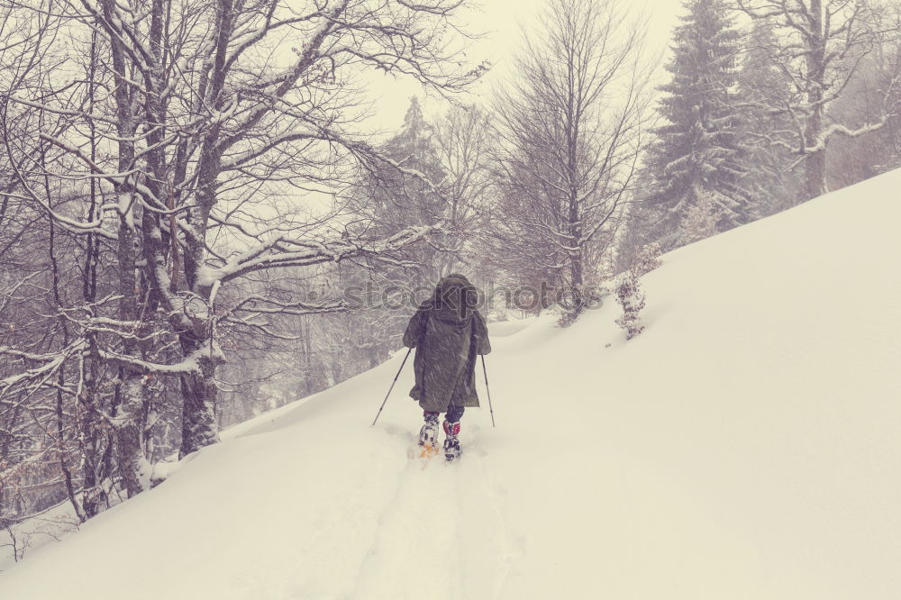 Similar – Lifestyle winter portrait of romantic couple walking